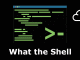 What the shell - tryhackme