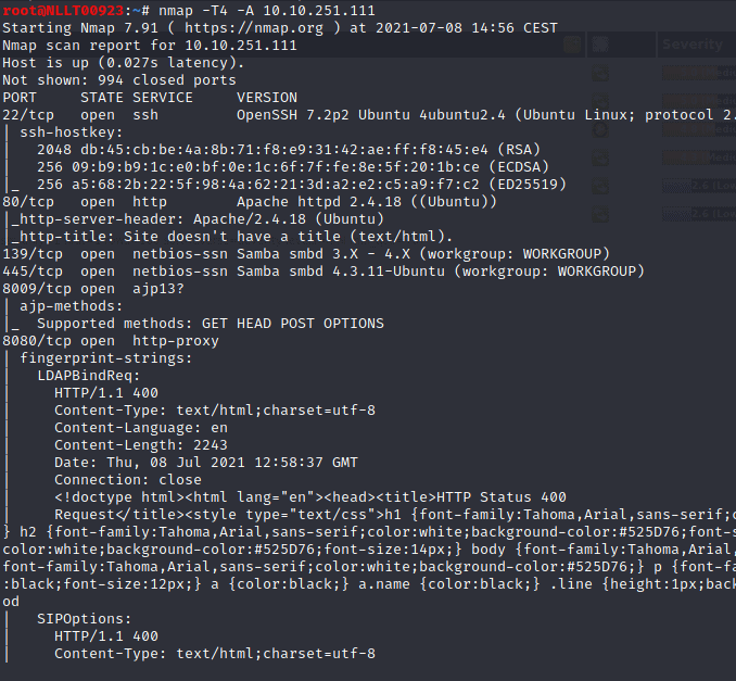 Basic Pentesting Tryhackme